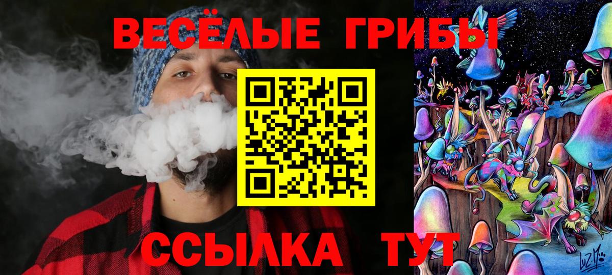 Псилоцибиновые грибы MAGIC MUSHROOMS Камень-на-Оби