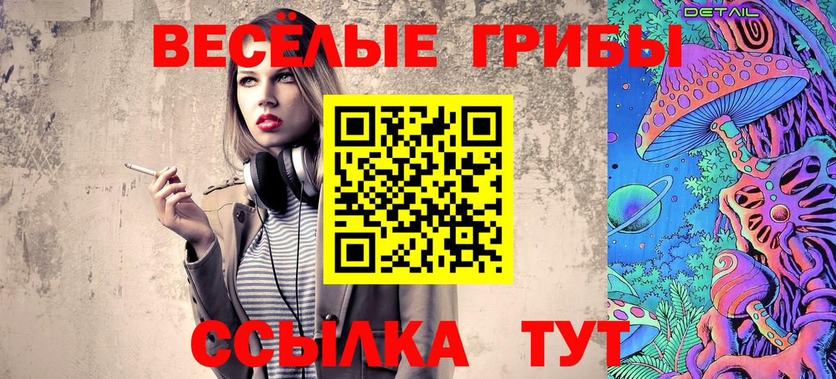где купить   Вход с VPN  Камень-на-Оби  Галлюциногенные грибы Cubensis 