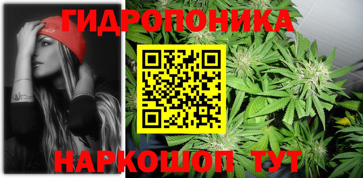 Бошки Шишки THC 21%  Каннабис Ganja  Канабис планчик  Камень-на-Оби  Вход с VPN  Конопля VHQ 